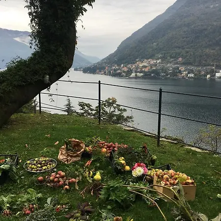 Hébergement de vacances Casa Castagna *