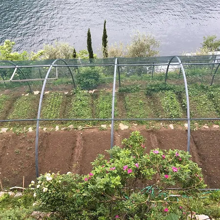 Holiday home Casa Vacanza Castagna